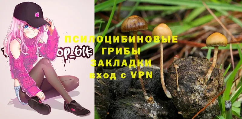 Псилоцибиновые грибы Magic Shrooms  Балашов 